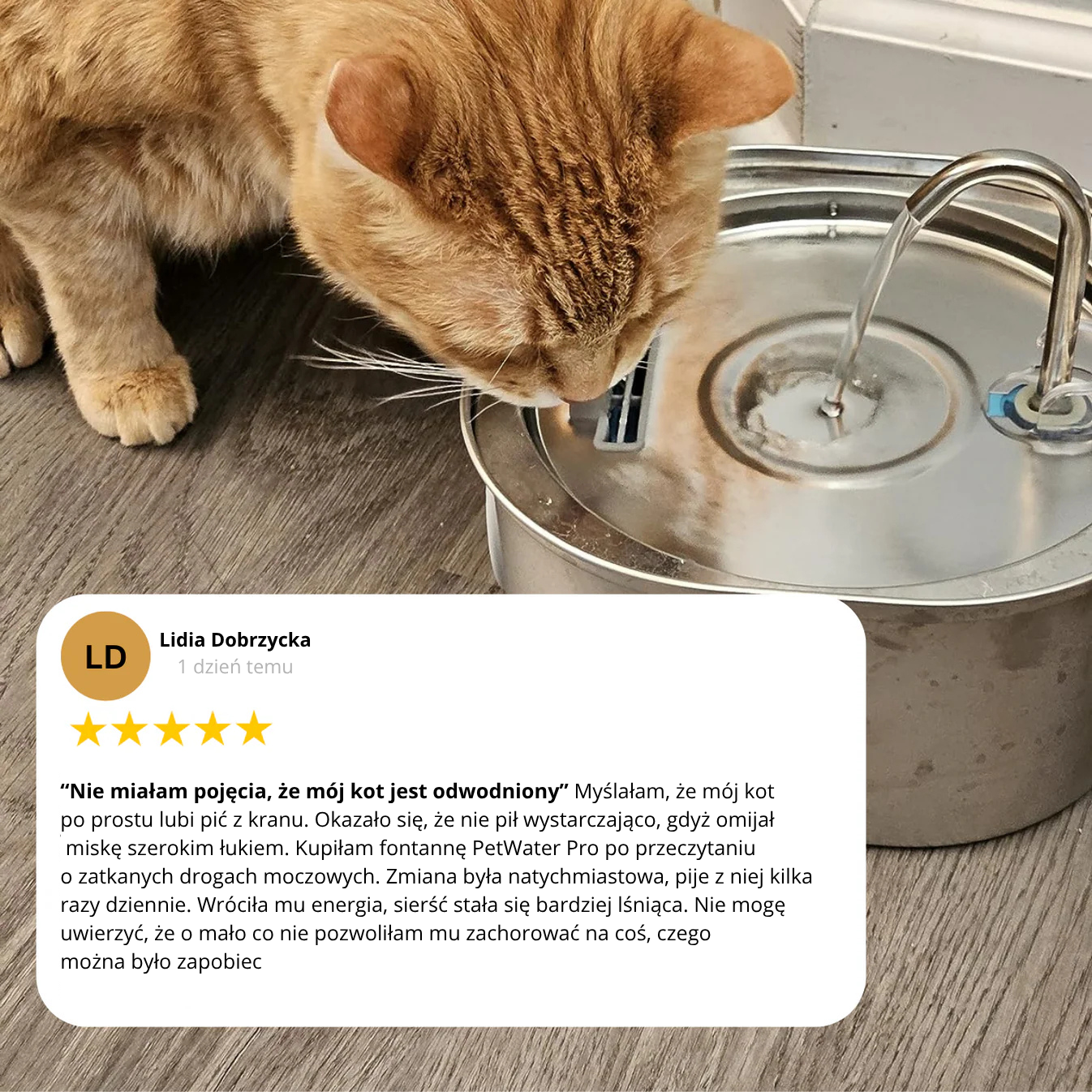 Fontanna ze stali nierdzewnej dla kota PetWater Pro™
