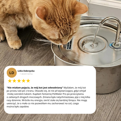 Fontanna ze stali nierdzewnej dla kota PetWater Pro™